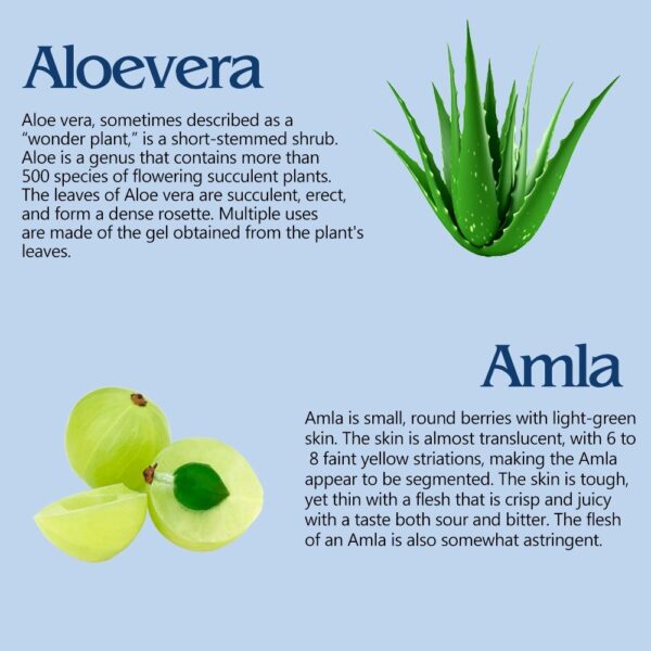 Aloevera Amla Swaras - Image 3