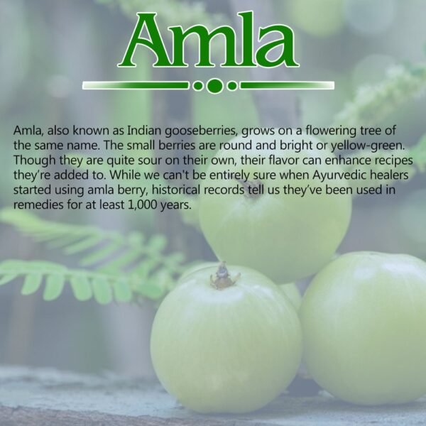 Amla Powder - Image 3