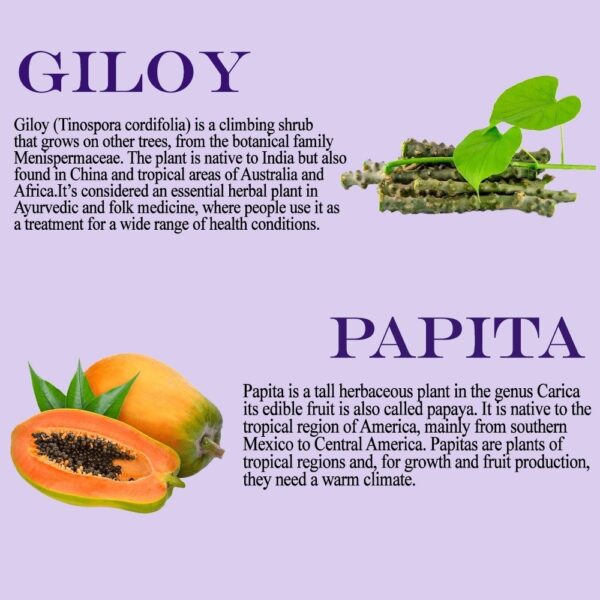 Giloy Papita Swaras - Image 3