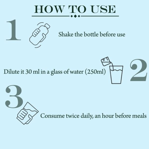 Triphla Syrup - Image 2