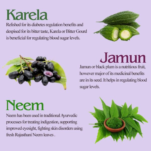 Karela Jamun Neem Swaras - Image 5
