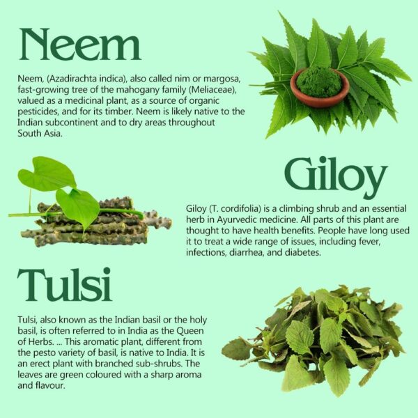 Neem Giloy Tulsi Swaras - Image 5