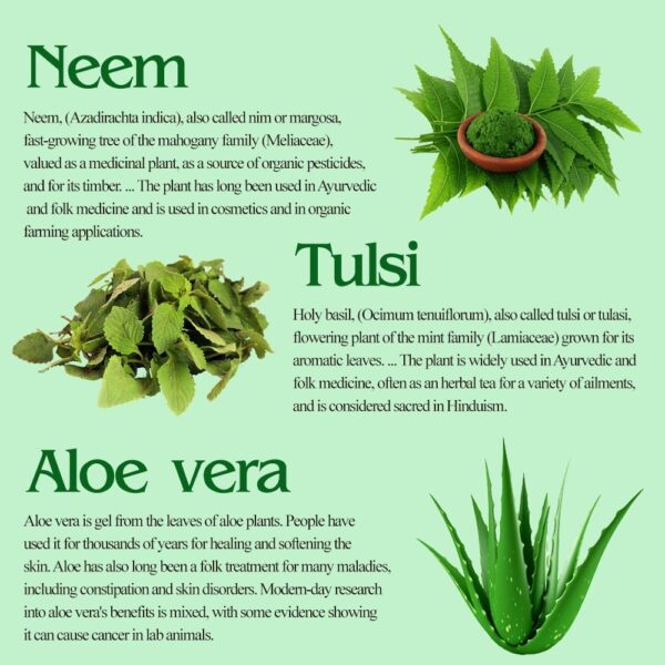 Neem Tulsi Aloevera Shampoo - Image 4