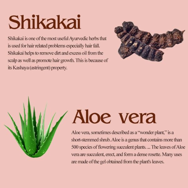 Shikakai Aloevera Shampoo - Image 4