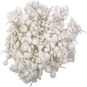 PTJ BATTI (WHITE)